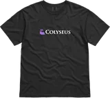 Colyseus T-Shirt